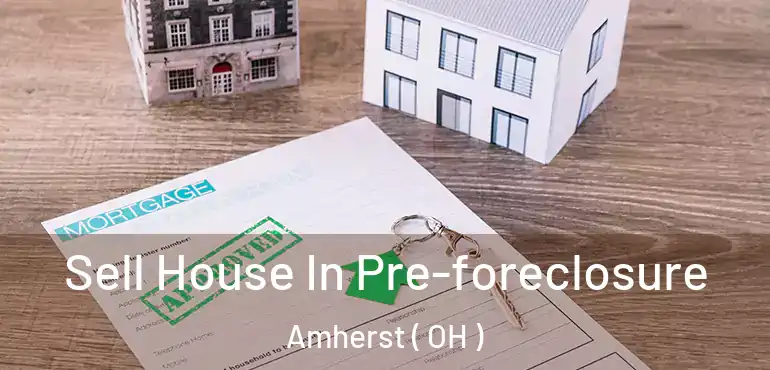  Sell House In Pre-foreclosure Amherst ( OH )