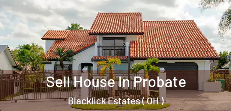  Sell House In Probate Blacklick Estates ( OH )