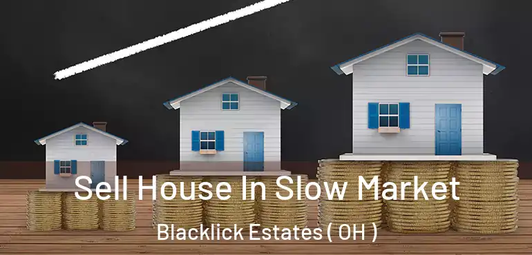  Sell House In Slow Market Blacklick Estates ( OH )