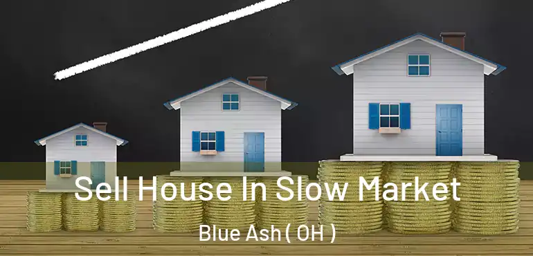  Sell House In Slow Market Blue Ash ( OH )