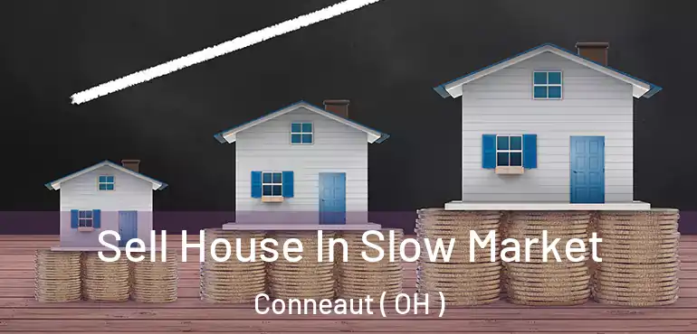  Sell House In Slow Market Conneaut ( OH )