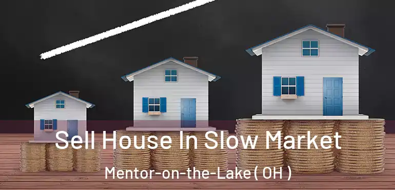  Sell House In Slow Market Mentor-on-the-Lake ( OH )