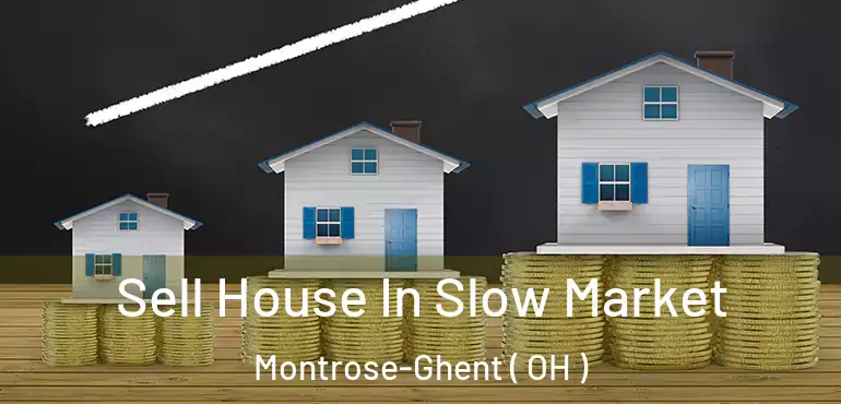  Sell House In Slow Market Montrose-Ghent ( OH )