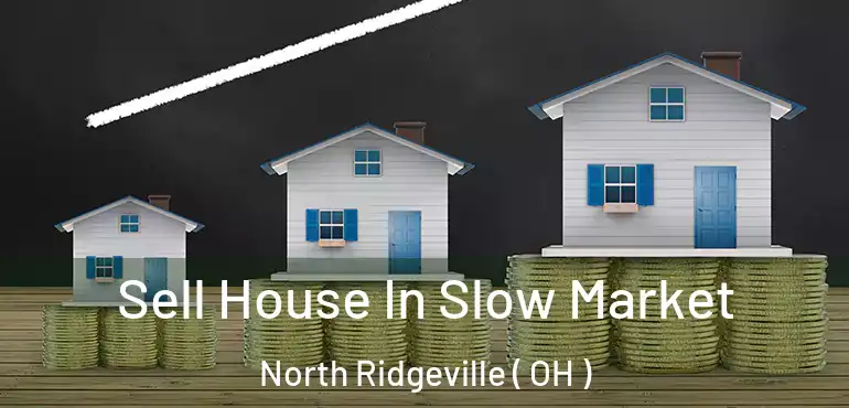  Sell House In Slow Market North Ridgeville ( OH )