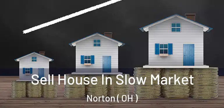  Sell House In Slow Market Norton ( OH )