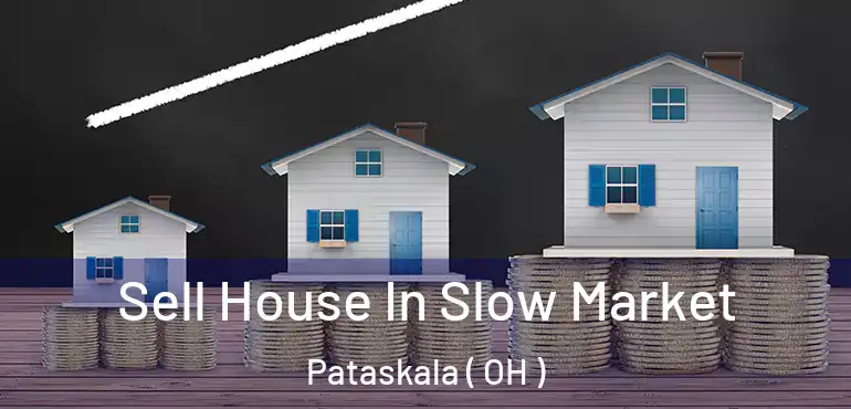  Sell House In Slow Market Pataskala ( OH )