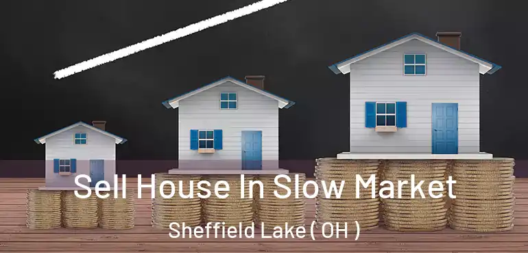  Sell House In Slow Market Sheffield Lake ( OH )
