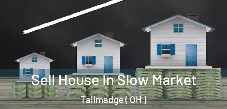  Sell House In Slow Market Tallmadge ( OH )