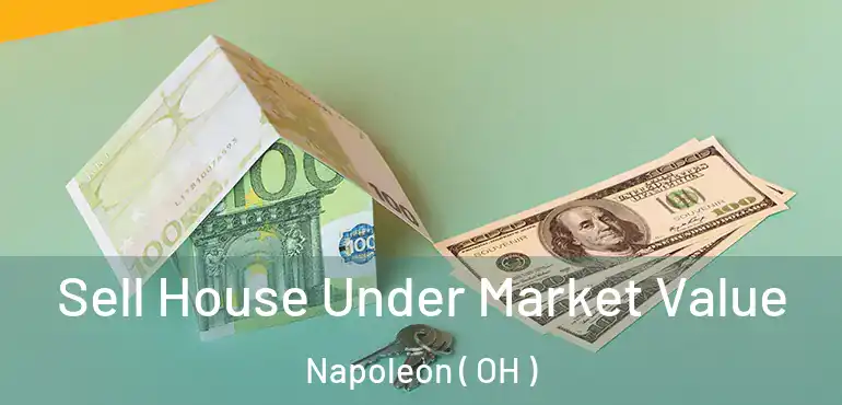  Sell House Under Market Value Napoleon ( OH )