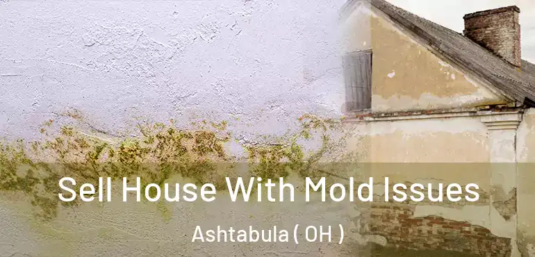  Sell House With Mold Issues Ashtabula ( OH )