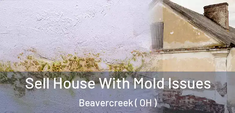  Sell House With Mold Issues Beavercreek ( OH )