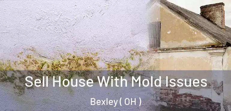  Sell House With Mold Issues Bexley ( OH )