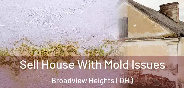  Sell House With Mold Issues Broadview Heights ( OH )