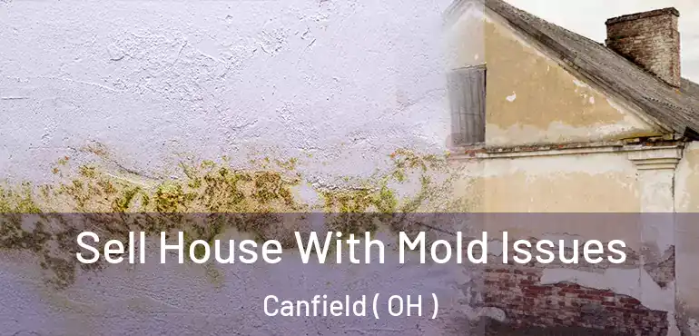  Sell House With Mold Issues Canfield ( OH )