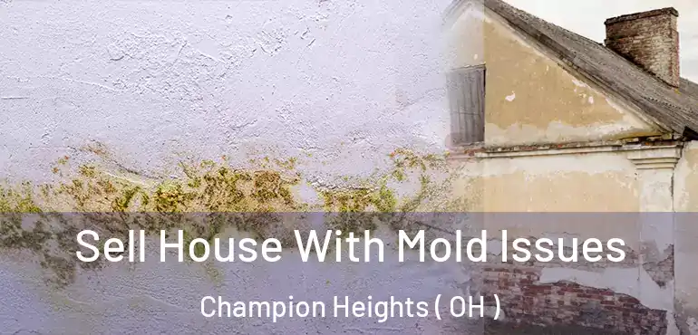 Sell House With Mold Issues Champion Heights ( OH )