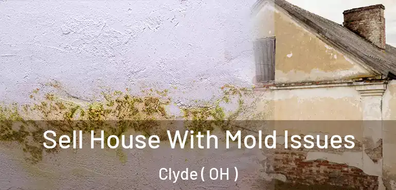  Sell House With Mold Issues Clyde ( OH )