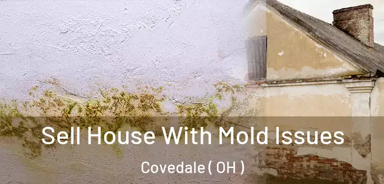  Sell House With Mold Issues Covedale ( OH )