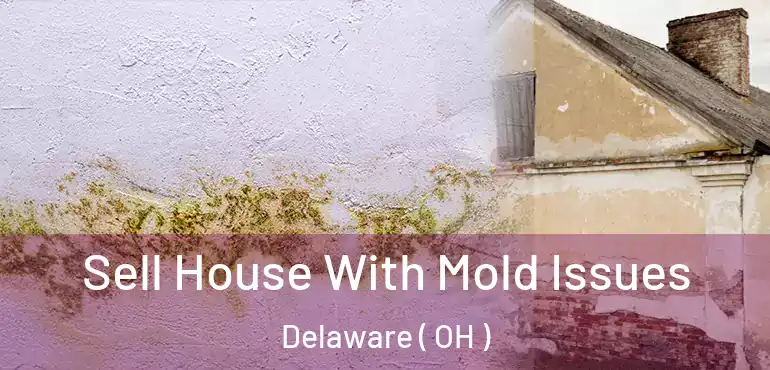  Sell House With Mold Issues Delaware ( OH )