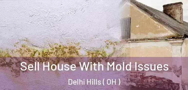  Sell House With Mold Issues Delhi Hills ( OH )