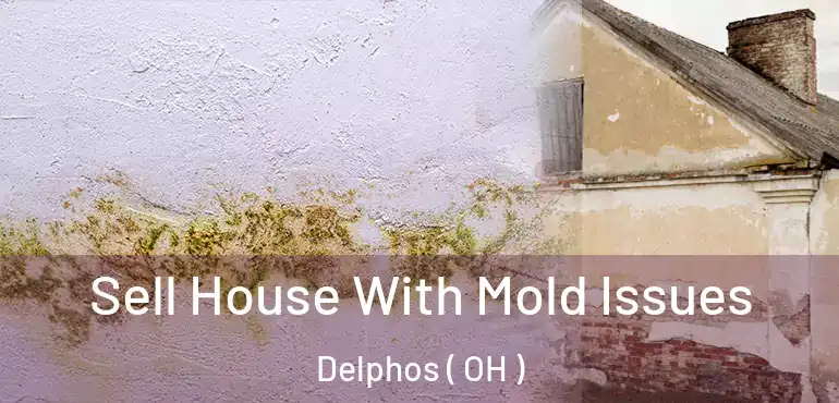  Sell House With Mold Issues Delphos ( OH )