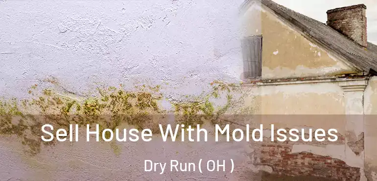  Sell House With Mold Issues Dry Run ( OH )