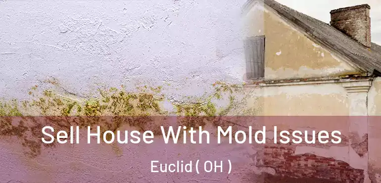  Sell House With Mold Issues Euclid ( OH )