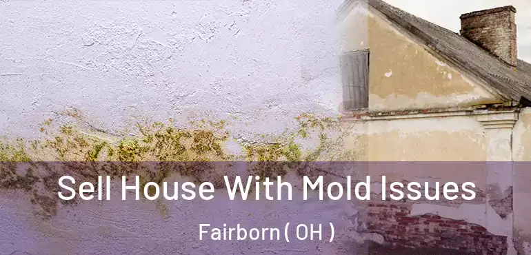  Sell House With Mold Issues Fairborn ( OH )