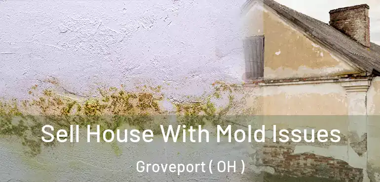  Sell House With Mold Issues Groveport ( OH )