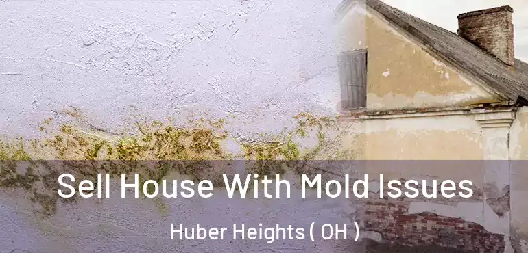  Sell House With Mold Issues Huber Heights ( OH )