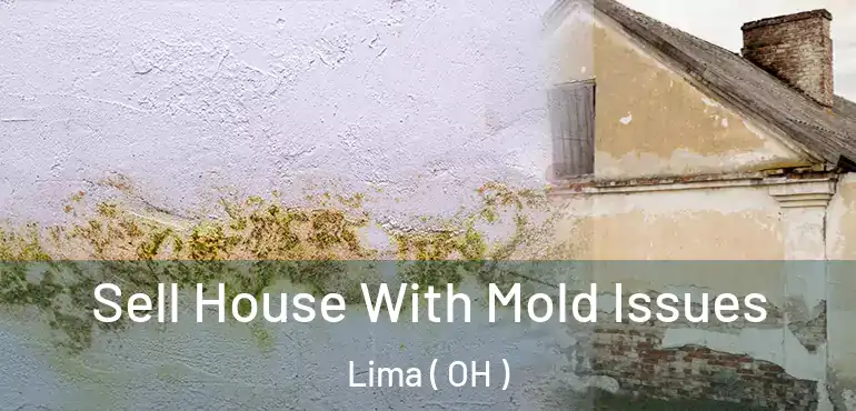  Sell House With Mold Issues Lima ( OH )