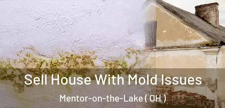  Sell House With Mold Issues Mentor-on-the-Lake ( OH )
