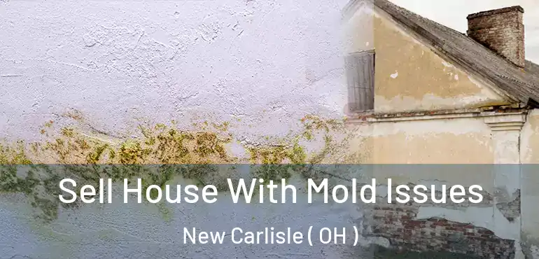  Sell House With Mold Issues New Carlisle ( OH )