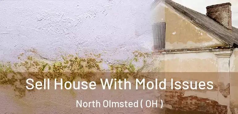  Sell House With Mold Issues North Olmsted ( OH )