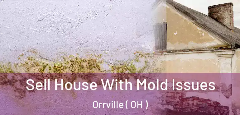  Sell House With Mold Issues Orrville ( OH )