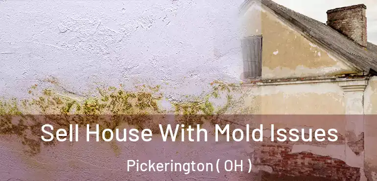  Sell House With Mold Issues Pickerington ( OH )