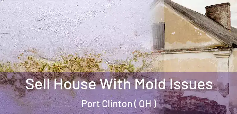  Sell House With Mold Issues Port Clinton ( OH )