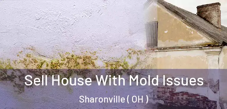  Sell House With Mold Issues Sharonville ( OH )