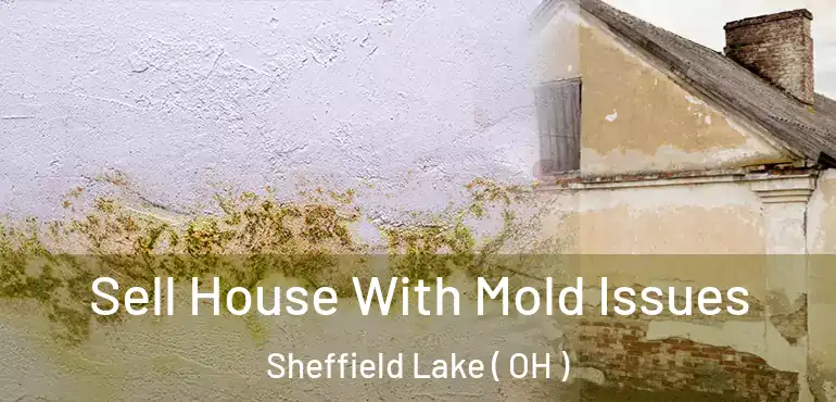  Sell House With Mold Issues Sheffield Lake ( OH )