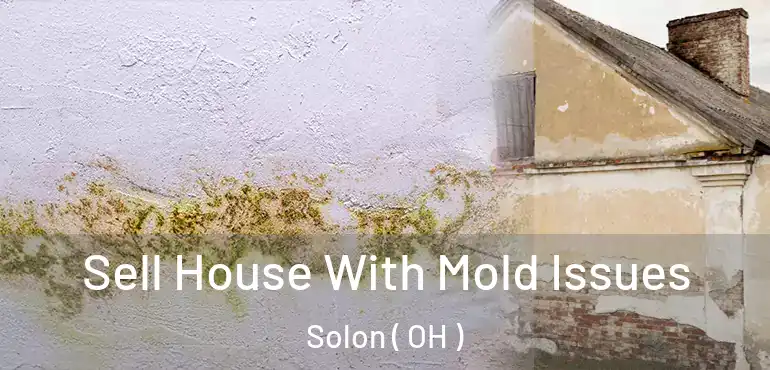  Sell House With Mold Issues Solon ( OH )