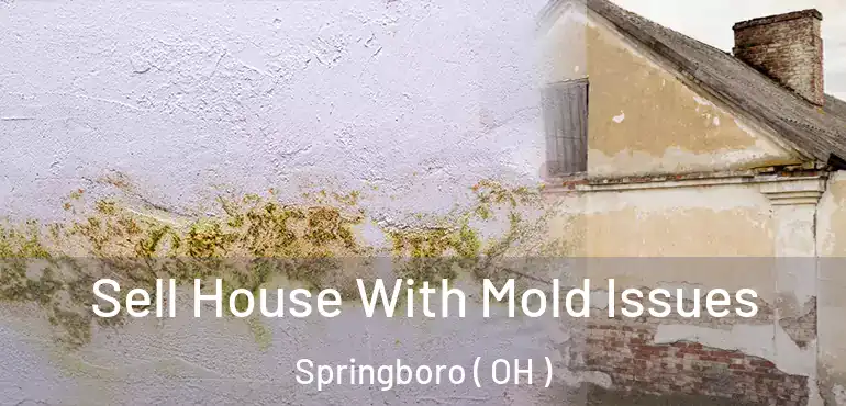  Sell House With Mold Issues Springboro ( OH )