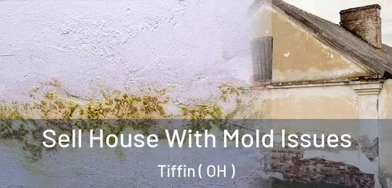  Sell House With Mold Issues Tiffin ( OH )