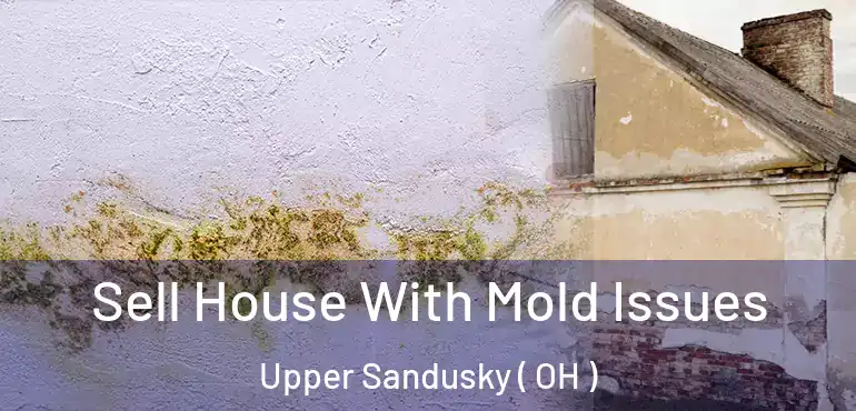  Sell House With Mold Issues Upper Sandusky ( OH )