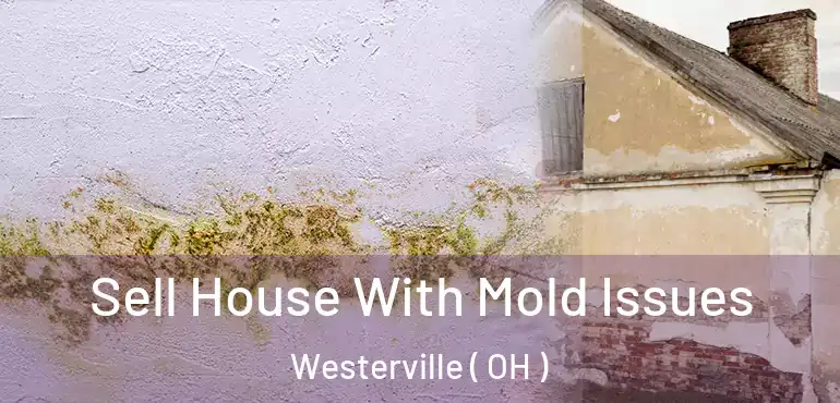  Sell House With Mold Issues Westerville ( OH )