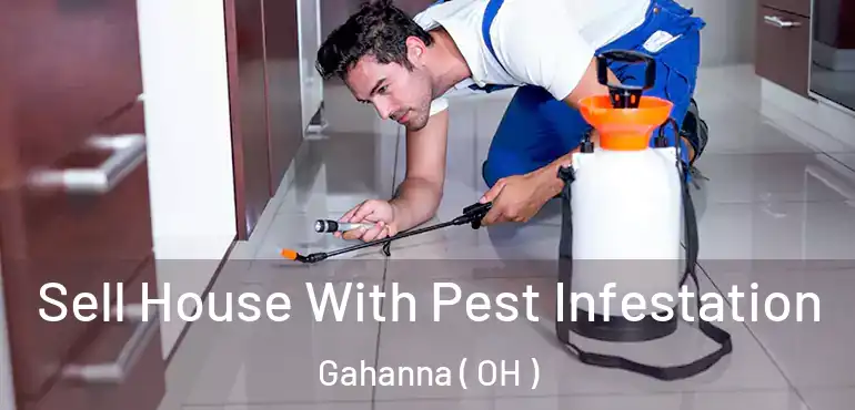  Sell House With Pest Infestation Gahanna ( OH )