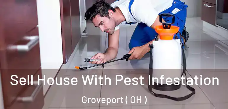  Sell House With Pest Infestation Groveport ( OH )
