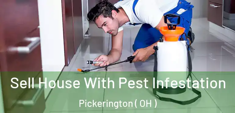  Sell House With Pest Infestation Pickerington ( OH )