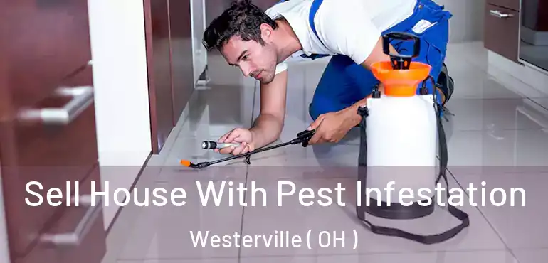  Sell House With Pest Infestation Westerville ( OH )
