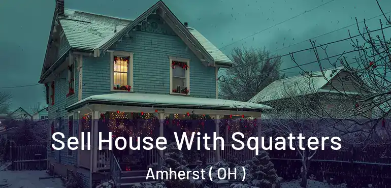  Sell House With Squatters Amherst ( OH )