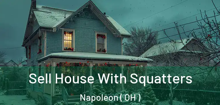  Sell House With Squatters Napoleon ( OH )