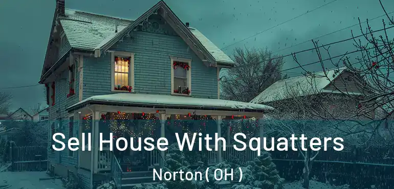  Sell House With Squatters Norton ( OH )